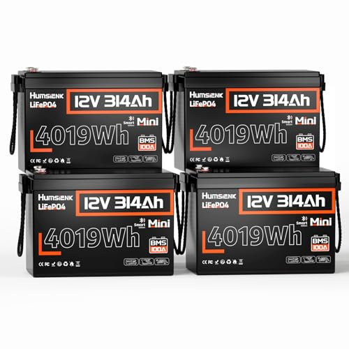 Humsienk Set de 4 Batteries Lithium 12V 300Ah LiFePO4 Mini Bluetooth, 48V 314Ah Système Complet, Solaire, Camping-Car, Yacht, Off-Grid, Batterie lifepo4 avec 100A BMS Protection Basse température