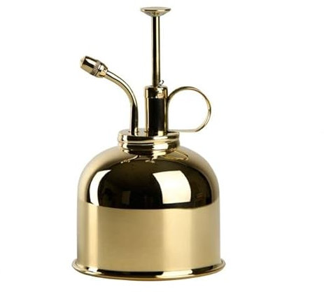 Atomizador de agua para plantas.