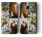 Tirita Personalised Custom Photo Wallet Flip Phone Case Compatible with Samsung Galaxy S10 Plus - [04- Four Photos Collage Horizontal]