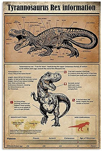 30 x 20 cm Tyrannosaurus Rex Wissen Poster Informationen Anatomie Metallschilder Raumdekoration Wissenschaft Bildung Bauernhof Club Wanddekoration Retro Plaketten