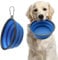 2 Pack Large Collapsible Dog Bowl, 1000ml/35oz Silicone Dog Travel Bowls, Portable Collapsible Dog Water Food Bowl with Hook Carabiner, Foldable, Pet Cat Feeding Cup Dish for Traveling Walking Hiking