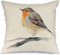 Kissenbezüge 45x45cm, Rotkehlchen Zeichnung Wildvogel Farbe Auf Weißem Zweig Europäische Tiere Wildlife Objekte Kissenbezug Leinen Wohnkultur Sofakissen, Für Bett, Stuhlmöbel