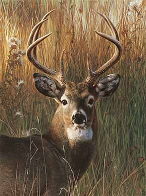 YISUMEI Decke 150x200 cm Kuscheldecken Sanft Flanell Weich Fleecedecke Bettüberwurf Einzelner Hirsch