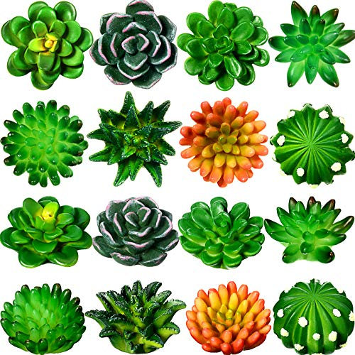 Frienda 16pcs 3D Resin Fridge Magnets with Succulent Cactus Fridge Magnets for Refrigerator 8 for Home Office Personal Use