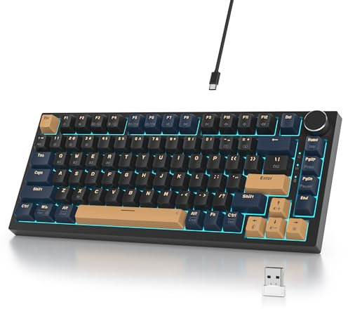 SbocKeeb Mechanische Tastatur Kabellos 75% mit Knopf, TKL Gaming Tastatur 75 Prozent Amerikanische QWERTY RGB Bluetooth/2.4G/USB PBT Tastenkappen, Hot-Swap für Mac/Win(V400pro-BlueSamurai-B)