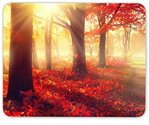 Destination Vinyl Ltd Beautiful Autumn Trees Mouse Mat Pad - Sunset Tree Leaf PC Computer #8282