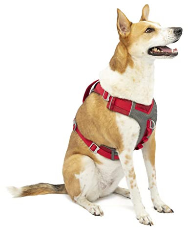 Kurgo Journey Air – Reflektierendes Hundegeschirr für Running, Wandern und Trekking – Reise-Geschirr – Rot, XL