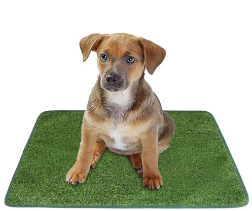 Puppy Training Pads - Kunstrasen Töpfchen Matte, Wiederverwendbare Gras Patch | Leakproof Pet Hygiene Pad, Waschbar Hund Ruhebereich, Anti-Rutsch-Rasen Für Den Innen- Und Außenbereich, Hinterhof