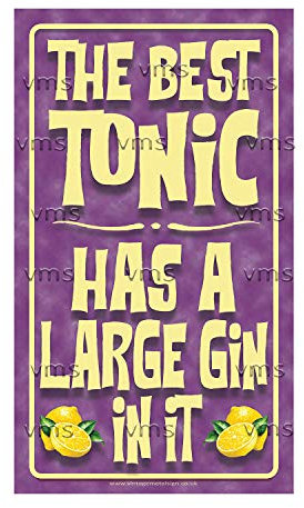 Vintage Metal Sign THE BEST GIN/TONIC 8X14 inch Home Decor Inside Outside Bar Kitchen Pub Decorative Plaques
