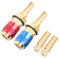 Raccord Rapide Chalumeau Oxygène Acétylène, 2 Pièces Adaptateur de Gaz de Soudage 8mm, Raccord Gaz Connecteurs Rapides, Raccords de Connexion Rapide de Gaz pour Torche de Soudage TIG