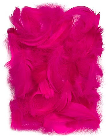 Netuno 150 Stück Deko Federn Dunkelrosa 10g Flaumfedern Schmuckfedern Vogelfedern Bastelfedern Natur für DIY Basteln Dekoration Ostern Weihnachten Dekofigur