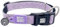 Max & Molly Urban Pets Smart ID Hundehalsband, weiches Neopren, wasserdicht, maschinenwaschbar, Power-Schnalle, Gotcha!-QR-Tag & benutzerdefiniertes App-Profil, Mykonos Lilac S