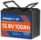 Mini Lithium Batterie 12V 100Ah LiFePO4, eingebautes 100A BMS mit Niedertemperaturabschaltung, bis zu 8000 Zyklen, wiederaufladbar, Lifepo4 12V, perfekt für Wohnmobile, Solar, Boote, netzunabhängig