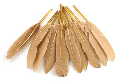 10 Indianerfedern ca. 10-15cm (sand/beige/natur 835) // Dekofedern Bastelfedern Masken Federn Schmuckfedern Vogelfedern