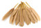 10 Indianerfedern ca. 10-15cm (sand/beige/natur 835) // Dekofedern Bastelfedern Masken Federn Schmuckfedern Vogelfedern