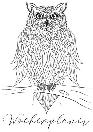Wochenplaner 2021 A5: DIY Terminplaner zum selbst beschriften, 150 Seiten, 6x9 Inc., mysteriöser Eulen Planer, Jahresplaner, Wochenkalender, Organizer