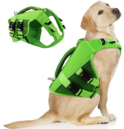 ASENKU Gilet de sauvetage pour chien – Gilet de sécurité pour animaux de compagnie pour la natation et le bateau, gilet de sauvetage pour requin avec flottaison, maillot de bain pour chiens de petite
