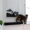 LucyBalu® Catwalk XL Kratzstamm für die Wand | Kratzbaum zur Wandmontage | Katzen Kletterwand Kratzmöbel | Kratzsäule aus Sisal | Wand Naturkratzbaum | Sisalstamm | XL Anthrazit