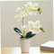 Orquídea artificial, falsa orquídea en maceta realista de 16 pulgadas orquídeas de falso de 16 pulgadas decorativas orquídeas artificiales vívidas vibrantes vibrantes planta de orquídea falsa para bo