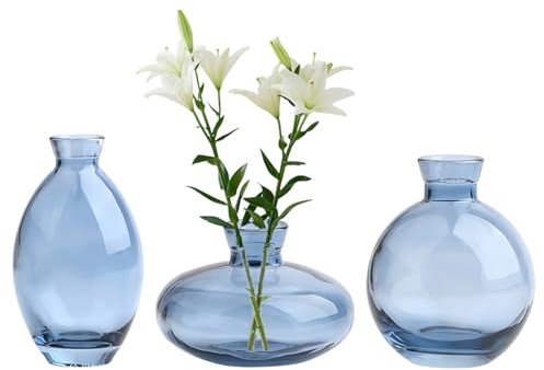 Jarrón de flores de cristal, diseño transparente, decoración para centro de mesa, boda, campestre, bautizo, cumpleaños, regalo del día de la madre (azul)