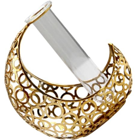 TOYANDONA Mondförmige Eisenkunstvase Mit Transparenter Glasröhre Für Zimmerpflanzen Hydrokulturvasen- Im Nordischen Stil Blumenvasenständer Fürs Büro Und Haus