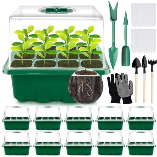 MOYKSRR Mini Serre pour Plantes, 10 Pièces 120 Cellules Intérieure Plateau Semis, Serre Intérieure Pépinière Boîte Propagateur Jardin, Bac à Semis Pépinière Boîte avec Étiquettes Outils de Jardinage