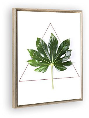 Schattenfugenrahmen Set Lemgo Silber Antik mit Keilrahmen Leinwand Bild Druck Motiv: Grünes Blatt im Dreieck 40x50cm