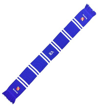 Karlsruhe Balkenschal bestickt, blau-weiß, Fussball, 1894, Fanschal, Strickschal