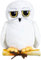 Harry Potter Plüschtier Hedwig Edvige mit Buchstabe weißer Eule von Harry - Höhe 16 cm
