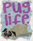 GB Eye Ltd Mini-Poster, mehrfarbig, 40 x 50 cm