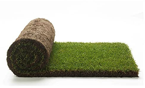 Prato Vero a Rotoli - Vera Erba Naturale per Giardino ed Esterni - 3 Metri Quadrati