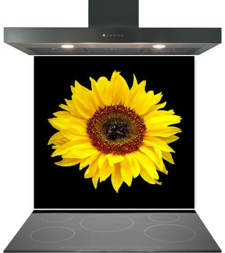 Printed Toughened Glass Splashback for Kitchen, Tempered Heat Resistant Glass Splashbacks for Cookers (Design 2022, 60 x 75cm)
