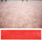 Innovz Beton Stempel Betonstempel Holzplanke Abdruck Textur, 48 X 12 Beton-Stempelmatten mit Natürlicher Holzmaserung, Nahtlose Rechteckige Betonformen mit Griffen