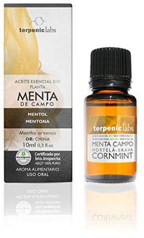 Terpenic Evo Minze Feld Ätherisches Öl, Bio-Lebensmittel, 10 ml, 1 Stück
