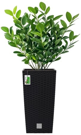 PAFEN Hoher Blumenkübel 11,4l – 20 x 20 x 38 cm - Pflanzkübel in Rattan-Optik Inkl. Pflanzeinsatz 5L Kunststoff Topf Blumentopf Pflanzenbehälte, Anthrazit