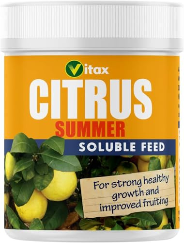 Citrus Feed for Summer Soluble Feed for Healthy Fruitful Citrus Trees Ideal for Indoor & Outdoor Plants High Nitrogen Discourages Fruit Drop and Premature Ripening 200g