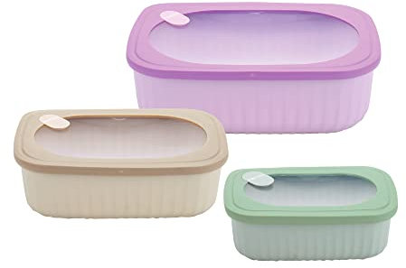 Pedrini Set 3 contenitori Ermetici con Coperchio per frigo microonde Freezer Lunchbox, rettangolari