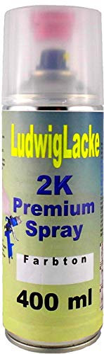LudwigLacke Premium 2K Spray im Wunschfarbton