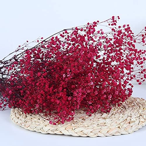 YIWOYI Bouquet di fiori secchi naturali, Gypsophila paniculata, ideali per feste di nozze o decorazione della casa, 15-30 cm, 30 g, rosa, rosso