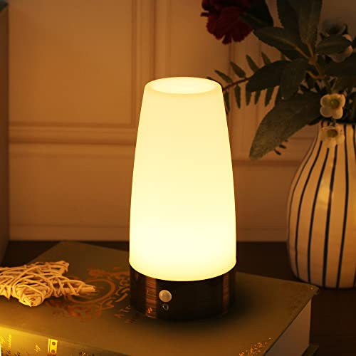 WRalwaysLX Retro LED Night Light for Home,Small Lamp with Wireless PIR LED Motion Sensor Indoor/Outdoor,Battery Operated Lamp for Bedroom,Hallway,Kitchen… (ROUND-white light)