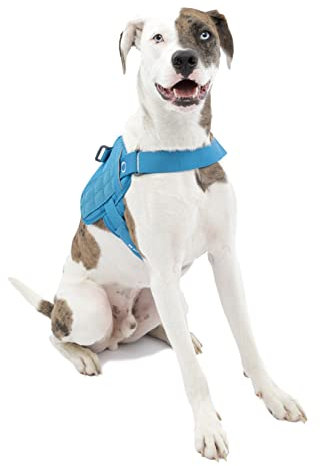Kurgo Townie RSG – Hundegeschirr, Trainingsweste für Hunde, mit Griff, reflektierend, kompatibel mit MOLLE – Blau, M