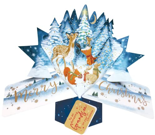 Grandson's 1st Christmas Card 3D Woodland Animals Pop Up Christmas Card Xmas POP064X42
