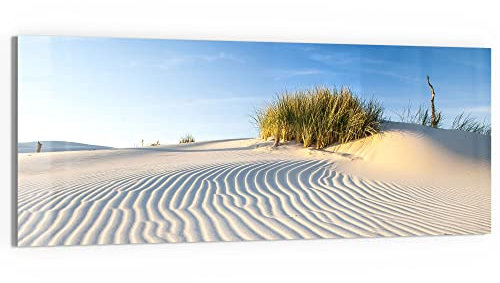 DEQORI Glasbild Echtglas | Motiv Sanddüne Ostseeküste | horizontal einteilig 125x50 cm | schöne Dekoration | Wandbild für Wohnzimmer, Schlafzimmer, Flur & Küche | moderne Wanddeko