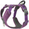 DOG Copenhagen Comfort Walk Pro Hundegeschirr, Purple Passion, XL