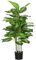HOMCOM Plante Artificielle calathea Hauteur 120 cm Pot Ciment - intérieur