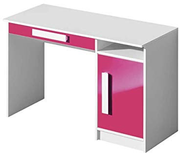 Furniture24 Schreibtisch GULIVER 09 Kinderschreibtisch mit Tür und Schublade Schülerschreibtisch Arbeitstisch (Weiß/Rosa Hochglanz)