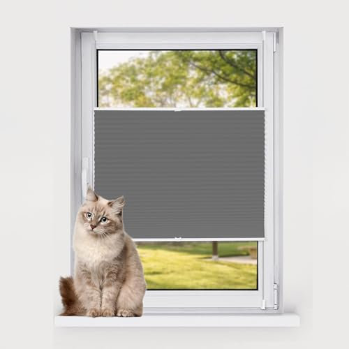 Fensterrollo, kabellos, einfach nach oben und unten, 75 x 90 cm, Grau, einfache Installation, für Zuhause, Büro, Schlafzimmer