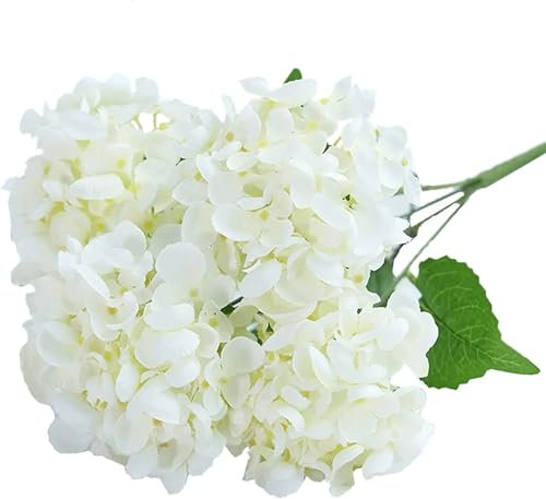 TENVORA Ramos de Novia,Ramo de Novia Flores Preservadas Rama de Hortensia Blanca, Flores Artificiales, Ramo de hortensias, arreglos Florales for centros de Mesa de Boda y decoración del hogar.(White)