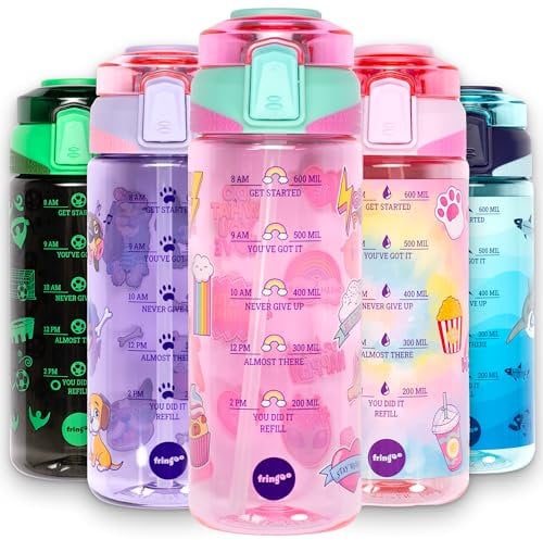 Fringoo - 650ml Kids Water Bottle - Carry Handle 100% Leakproof & BPA Free Tritan Silicon Straw - Secure Flip Lock Lid, Pink Girls World Design