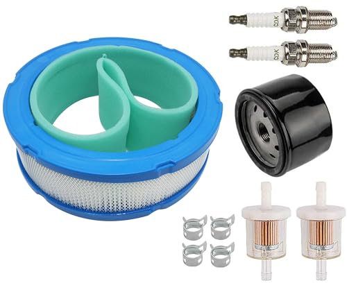 Hippotech Filtre à air 394018S 272490S et filtre à huile 492932S pour Briggs 392642 394018 271271 272490
